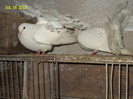 DSC00255
