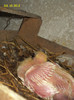 DSC00256