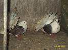 DSC00260