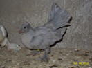 DSC00277
