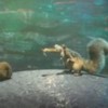 Ice_Age_Continental_Drift_1321608486_2012