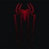 The_Amazing_Spider_Man_1311197731_1_2012