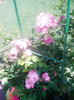 P1010381