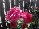 P190712_16.07_[01]
