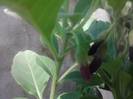 P190712_16.27_[02]