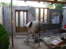 Picture 009