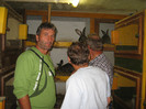 farmziege 003