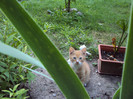 DSC08096