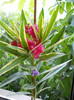 DSCN0043