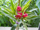 DSCN0044