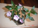 DSC05265