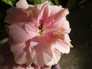 P1160047