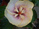 P1160049