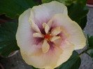 P1160050