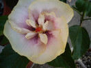 P1160051