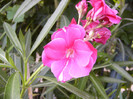 P1170755