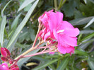 P1170756