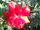 DSCN3064