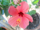 DSCN3066