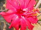 DSCN3067