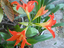 DSCN3069