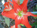 DSCN3070