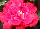DSCN3073