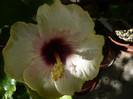 P1160074