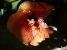 P1160096