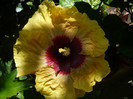 P1160098