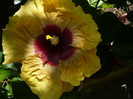 P1160100