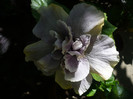 P1160102