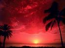 Poze Apus de Soare in Hawaii