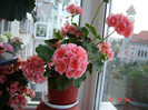 DSC03877