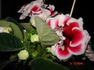 DSC03912
