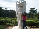 27180209_WIDQNJPXX