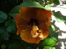 P1160118