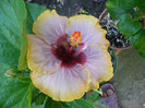 P1160122