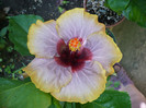 P1160123