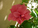P1160128
