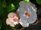 P1160142