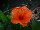 P1160160