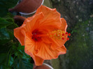 P1160161