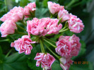 DSCN1058