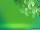 poze-pentru-vista-desktop