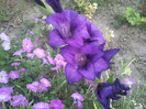 Photo053