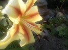 Photo040