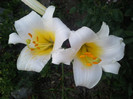 Photo041