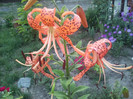 Photo063