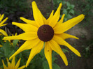 DSCF7984